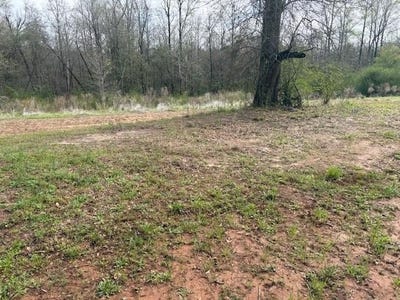 /international/us/4700-county-road-2225-troy-al-110098295381/