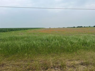 /international/us/6900-state-highway-95-n-granger-tx-110107636685/