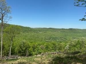 /international/us/0-ar-7-south-jasper-ar-110094080482/?lang=en