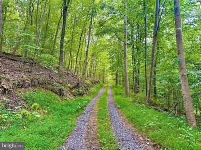 /international/us/39-a-14-john-mosby-highway-boyce-va-110110300718/