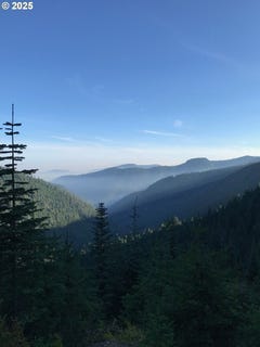 /international/us/champion-creek-rd-cottagegrove-or-110102941583/