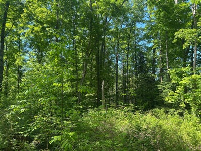 /international/us/cth-g-lot-24-pelican-lake-wi-110104213845/