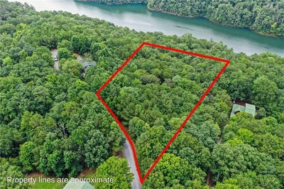 /international/us/0-lakeside-trail-ellijay-ga-110101151503/?lang=zh-tw
