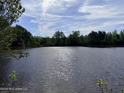 /international/us/chathaw-path-smithdale-ms-110107032530/