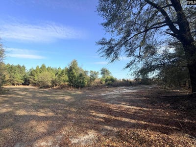 /international/us/festival-trail-road-salley-sc-110109105327/