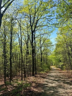 /international/us/raven-ridge-trail-dobson-nc-110107733903/