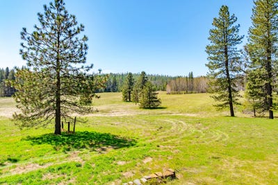 /international/us/tbd-fiske-road-converse-road-greeley-hill-ca-110098961206/