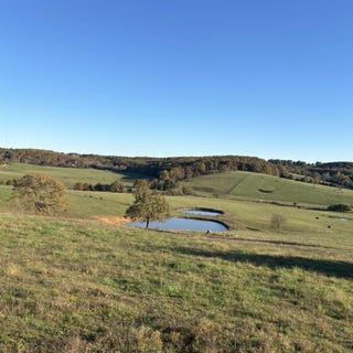 /international/us/hc-73-county-road-245-drury-mo-110108028784/