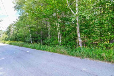 /international/us/evergreen-acres-ludlow-vt-110102097687/