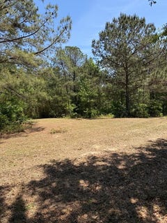 /international/us/county-road-50-abbeville-al-110108681383/