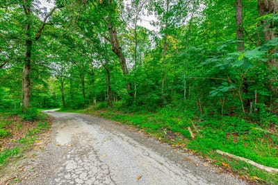 /international/us/1054-myers-hill-road-tracy-city-tn-110100388924/