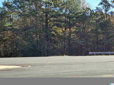 /international/us/highway-280-lot-0-sylacauga-al-110109087442/