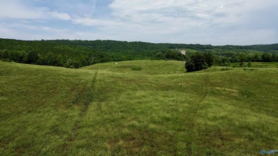 /international/us/120-carnes-chapel-road-attalla-al-110102079733/