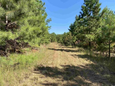 /international/us/0000-armstrong-road-pangburn-ar-110095085726/