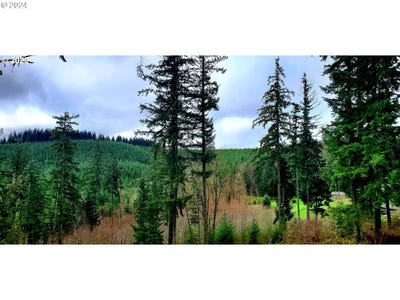 /international/us/viewcrest-dr-warren-or-110108302254/