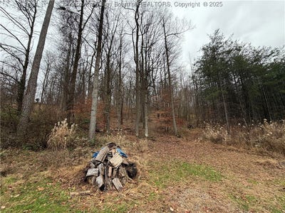 /international/us/25-pinson-drive-winfield-wv-110104272034/