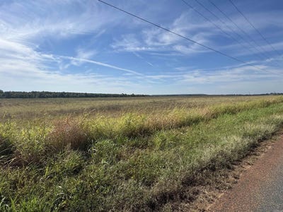 /international/us/1869-lafayette-county-9-bradley-ar-110119984892/