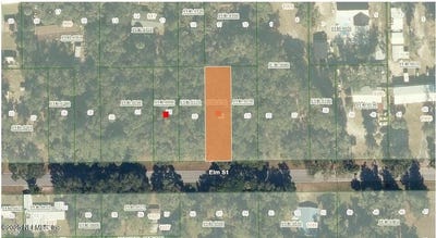 /international/us/1024-elm-street-welaka-fl-110104297144/