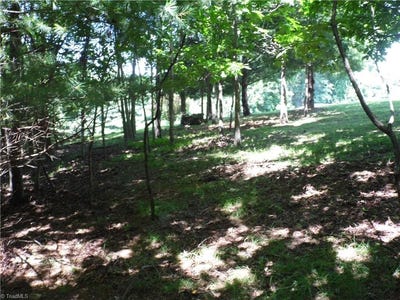 /international/us/tbd-hickory-view-drive-sparta-nc-110101404183/?lang=zh-tw