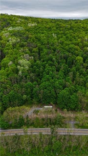 /international/us/1937-state-route-245-naples-ny-110108346886/