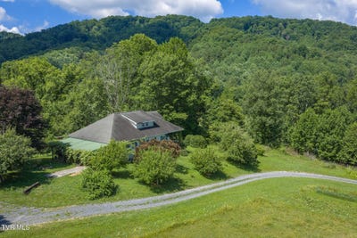 /international/us/120-teaberry-road-roan-mountain-tn-110109163908/