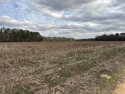 /international/us/0-hwy-80-tyler-al-110104545855/
