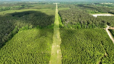 /international/us/s-bean-road-magnolia-ms-110103776167/