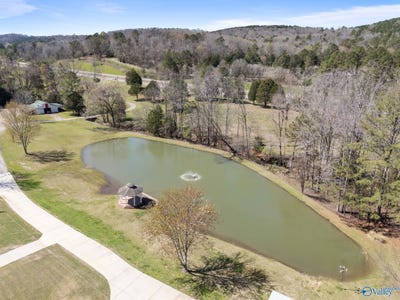 /international/us/18160-state-highway-75-remlap-al-110106982406/