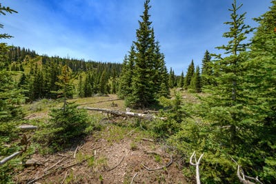 /international/us/lot-29-aspen-mdws-se-neighbor-brian-head-ut-110101211953/?lang=zh-tw