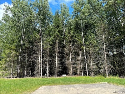 /international/us/lot-17-tanglewood-development-allegany-ny-110081514611/?lang=zh-tw
