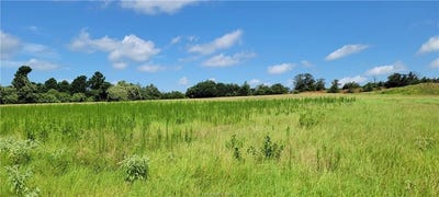 /international/us/0001-lone-star-lane-franklin-tx-110101124409/