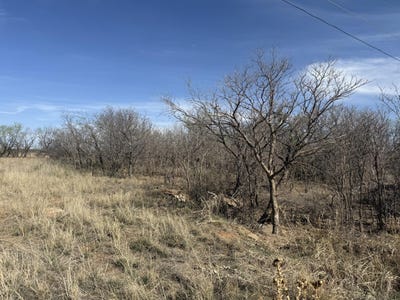/international/us/rio-brazos-estates-2-lot-95-snyder-tx-110106670160/