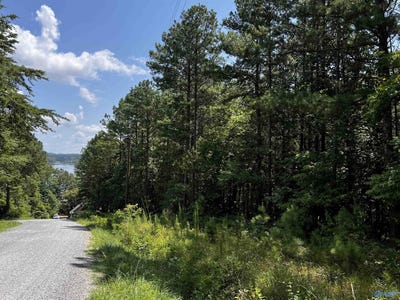 /international/us/1-71-acres-county-road-592-leesburg-al-110100777247/?lang=en