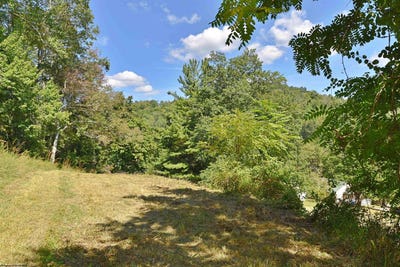 /international/us/richmond-avenue-lot-109-grafton-wv-110102000227/