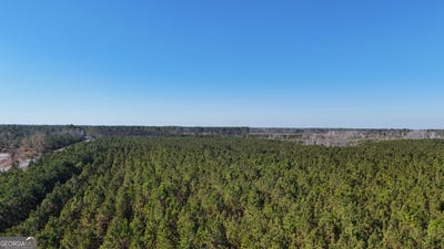 /international/us/0088-003a-pine-level-church-road-hazlehurst-ga-110104295863/