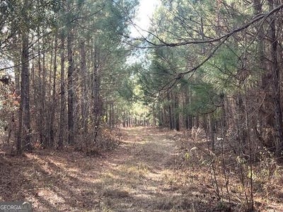 /international/us/thomas-road-millen-ga-110119925353/