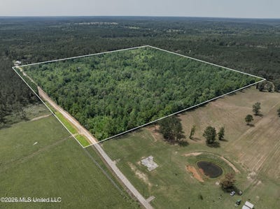 /international/us/40-acres-son-s-lane-mount-olive-ms-110106676854/