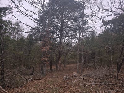 /international/us/10-brumfield-rd-antlers-ok-110098151033/