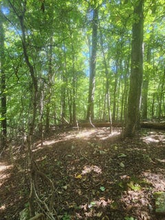 /international/us/nick-a-jack-lot-27-south-pittsburg-tn-110109979490/