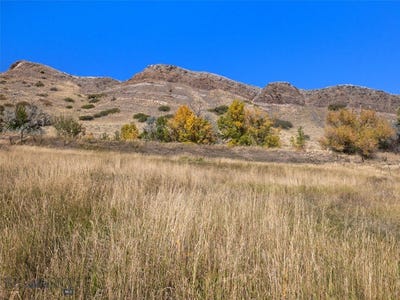 /international/us/tbd-n-l-street-livingston-mt-110096078091/