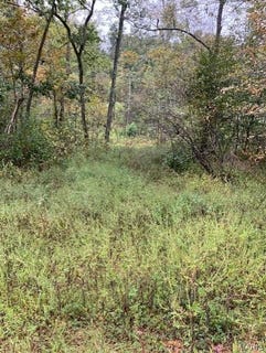 /international/us/162-madison-cr-410-fredericktown-mo-110098929968/