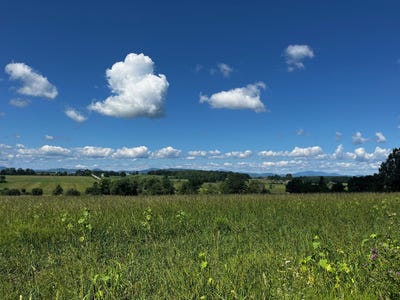 /international/us/1650-crown-point-road-bridport-vt-110101195664/