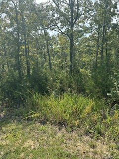 /international/us/fox-hollow-road-lot-3-branson-west-mo-110110372442/