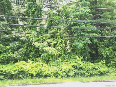 /international/us/vl-yaphank-middle-island-road-yaphank-ny-110100586560/