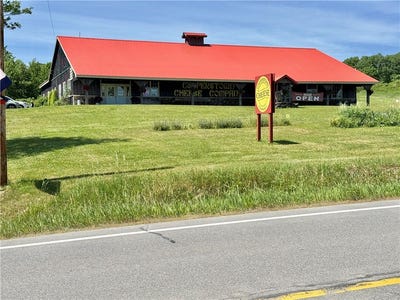 /international/us/3941-state-highway-28-milford-ny-110108661526/