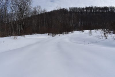 /international/us/morgan-hollow-road-franklinville-ny-110098333826/
