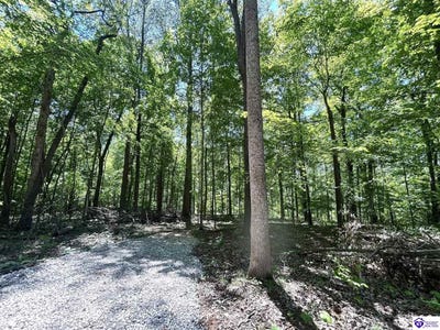 /international/us/2525-salem-lake-road-hodgenville-ky-110106092091/