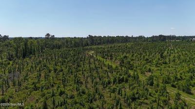 /international/us/deer-run-road-vidalia-ga-110108360971/