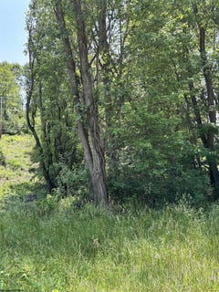 /international/us/barbour-county-highway-lot-4-philippi-wv-110099959283/