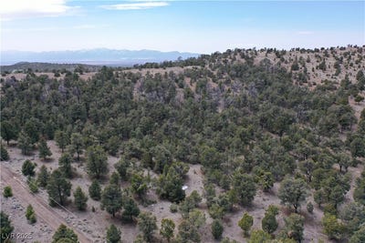 /international/us/0-pinion-pine-pioche-nv-110098423602/?lang=zh-tw